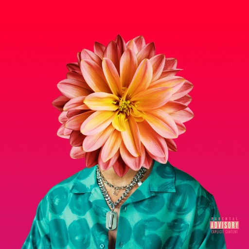 美丽姑娘在线观看免费
